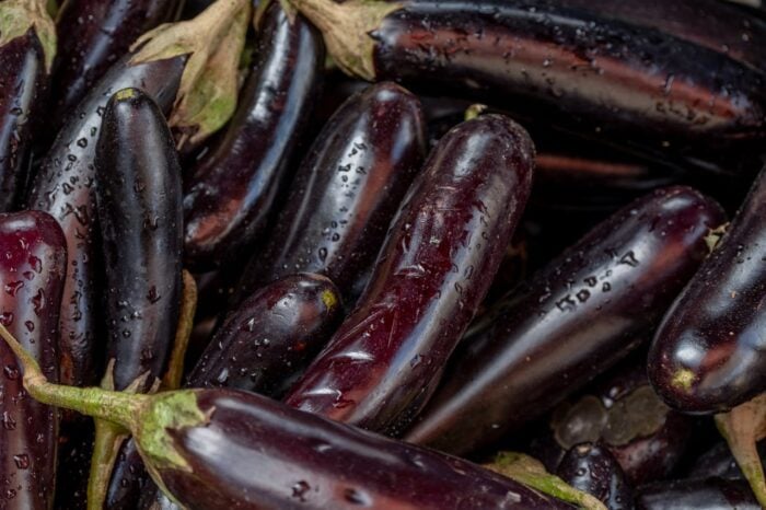 Gardeners named the best methods of eggplant care