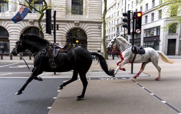 У центрі Лондона військові коні поранили людей