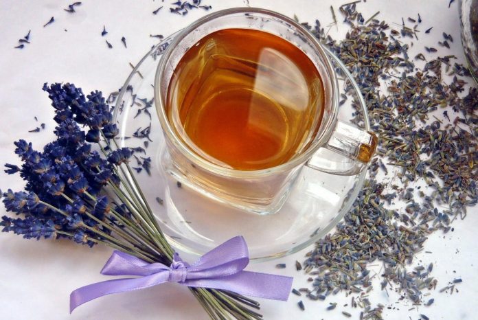 Чому варто додавати лаванду в чай: лікарі назвали 5 причин