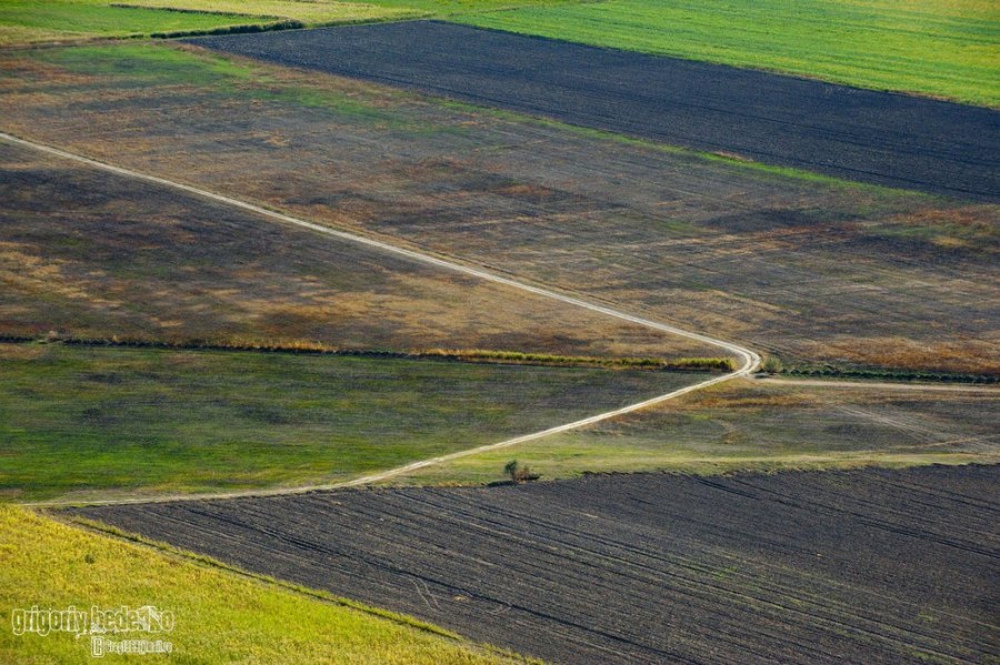 фото: Григорій Беденко