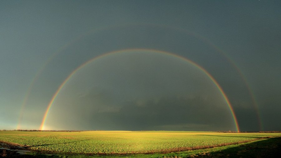 фото: Олег Кожельцев