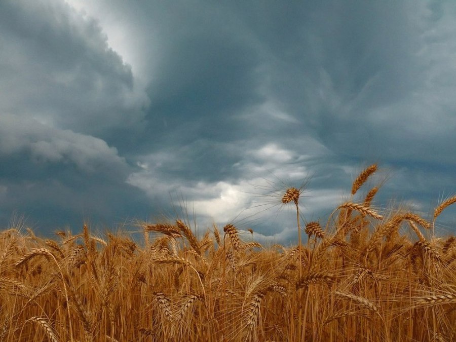 фото: Сергій Сименько