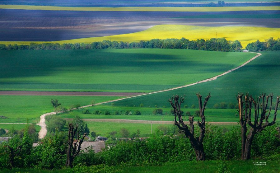 фото: Ліля Гуцол