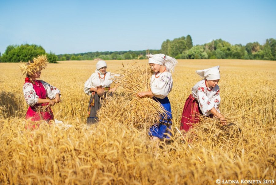 фото: Анна Сенік