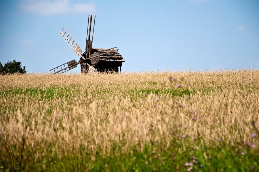 фото: Андрій Шедько