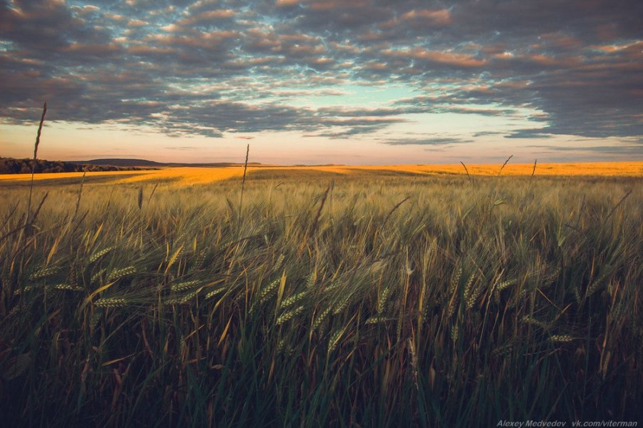 фото: Олексій Медведєв