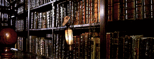 tumblr_m525wd470b1r8omrho1_500