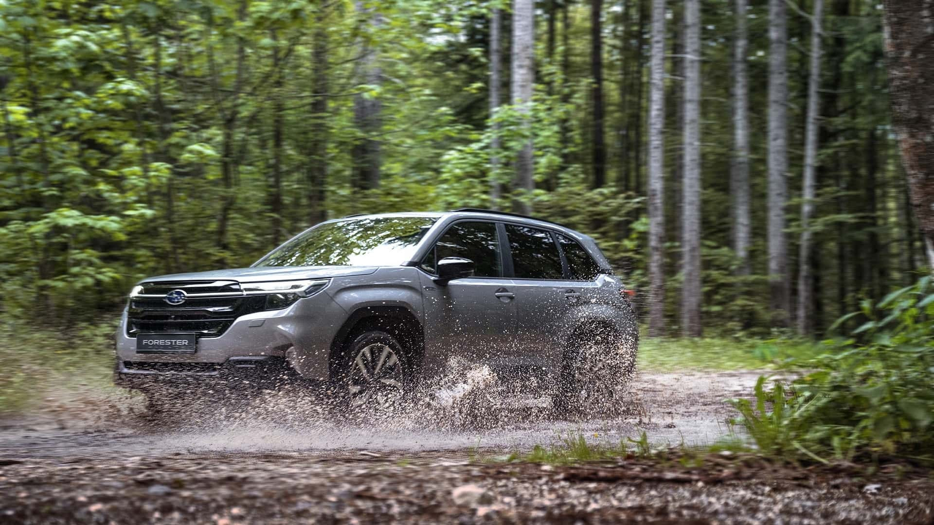 Subaru Forester 2024 року