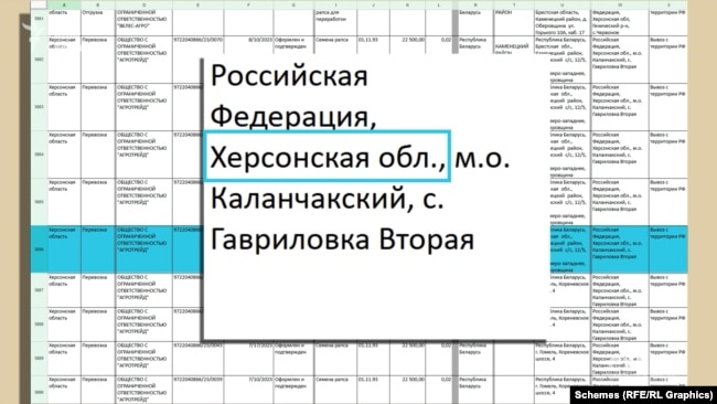 Білорусь продає в ЄС олію, зроблену з вкраденого в Україні ріпаку (ФОТО, ВІДЕО) 12