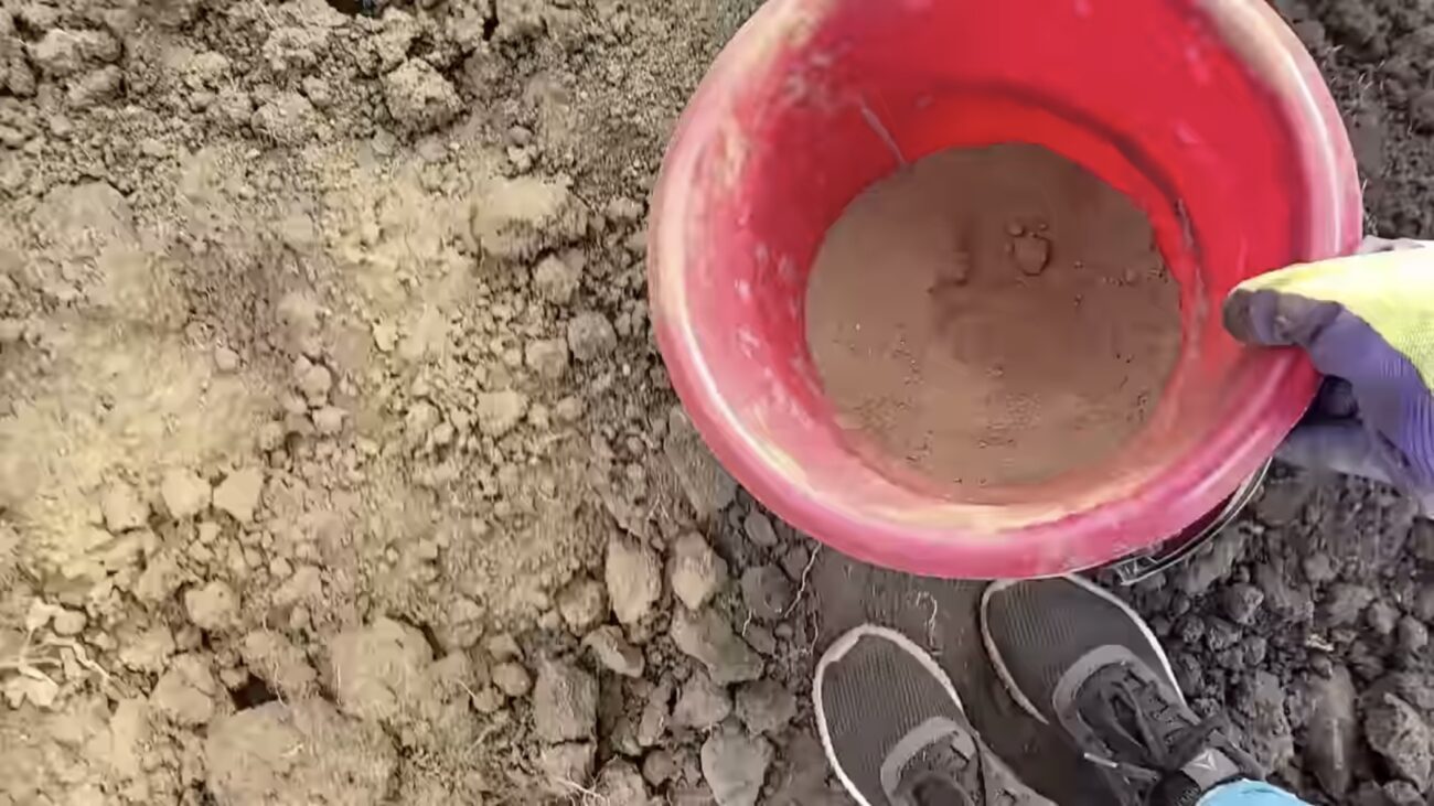 Городники розповіли, чим восени обробити ґрунт від цибулевої мухи 