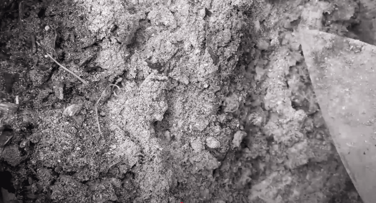 Садоводи згадали дуже старий та ефективний метод удобрення ґрунту восени