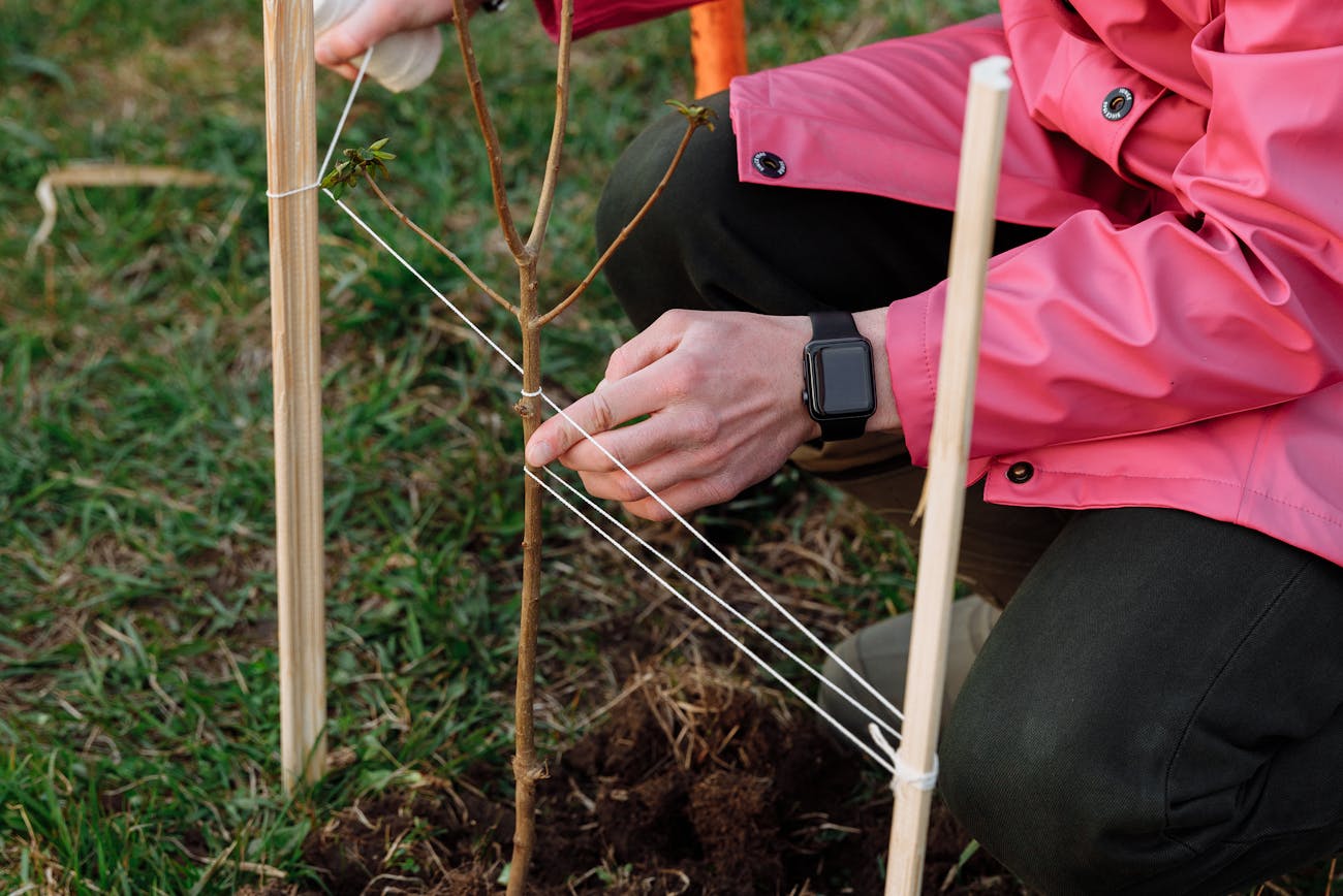 Експерти розповіли, як використати восени грядки на городі