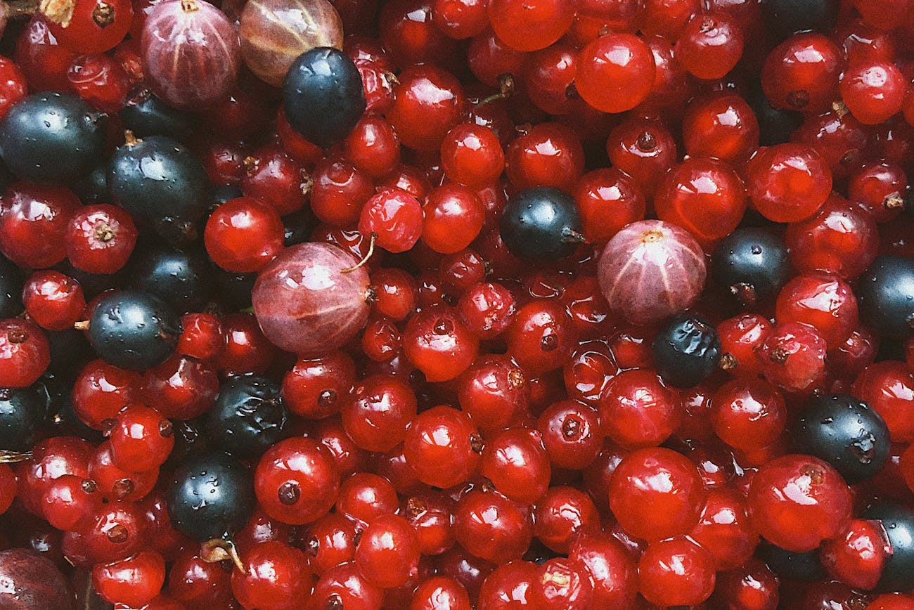 Експерти розповіли, як правильно підживлювати порічку після збору врожаю