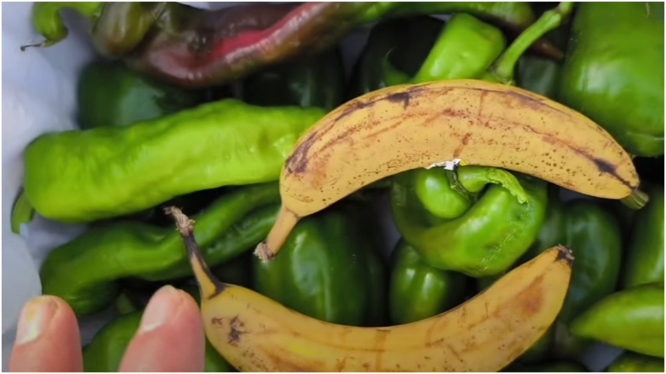 Городники розповіли, як прискорити дозрівання перців та томатів після збору урожаю