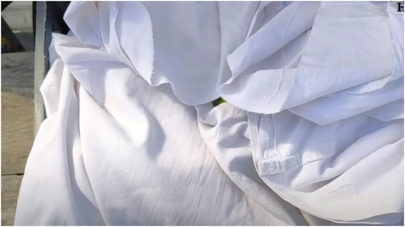 Городники розповіли, як прискорити дозрівання перців та томатів після збору урожаю