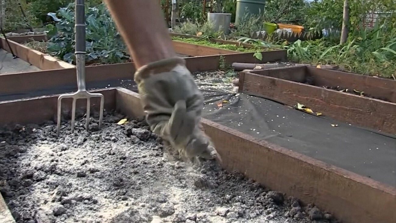 Городники порадили найкраще добриво для грядок