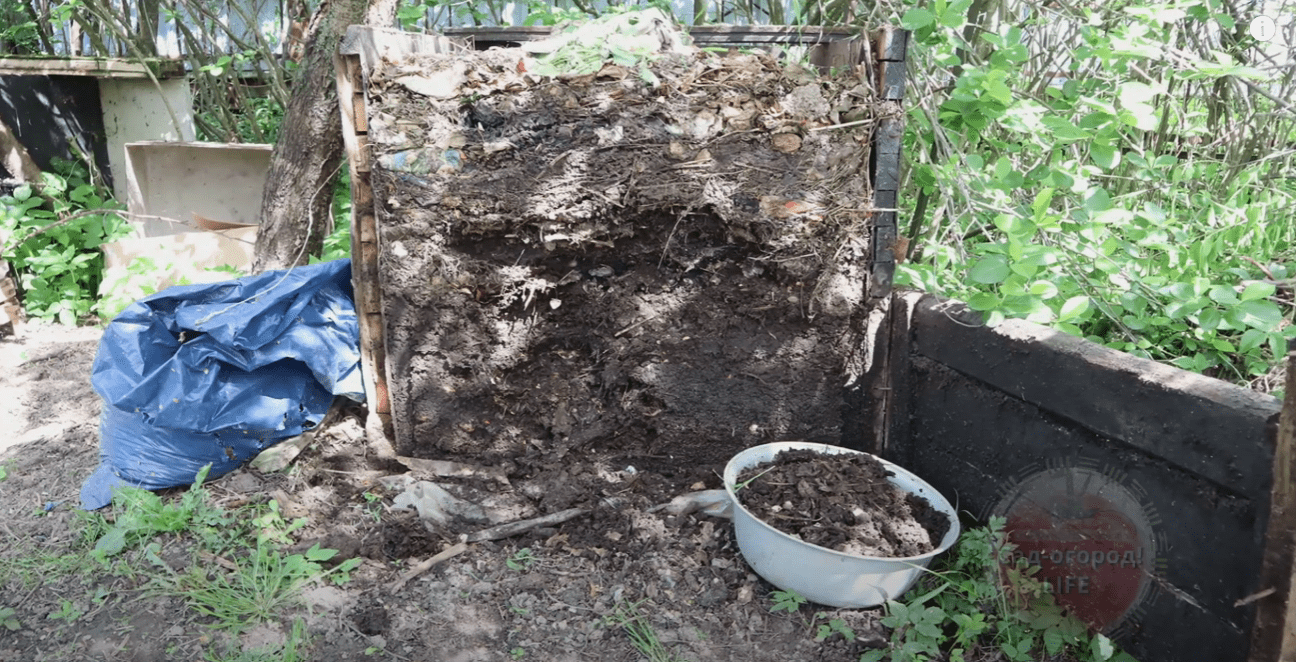 Городники назвали 3 найпотужніші осінні підгодівлі