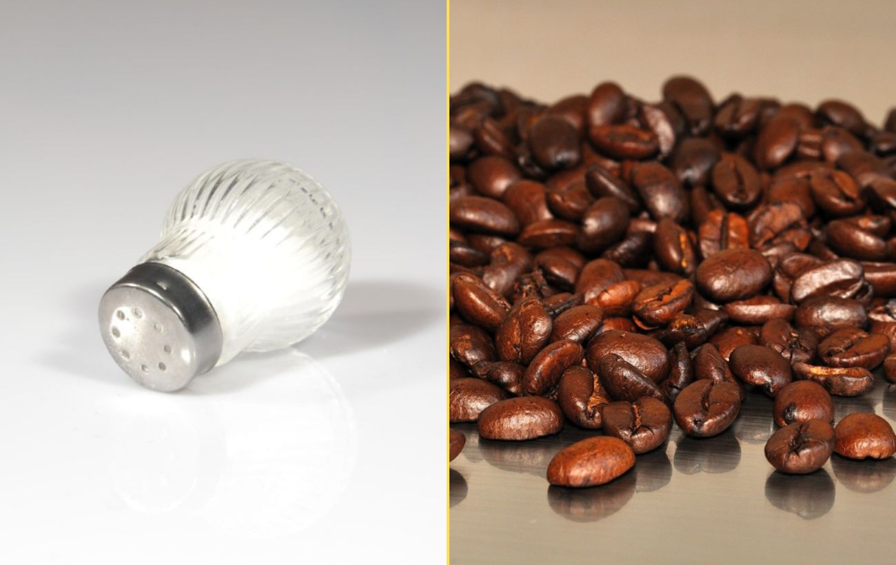 Як очистити повітря вдома Як очистити повітря вдома