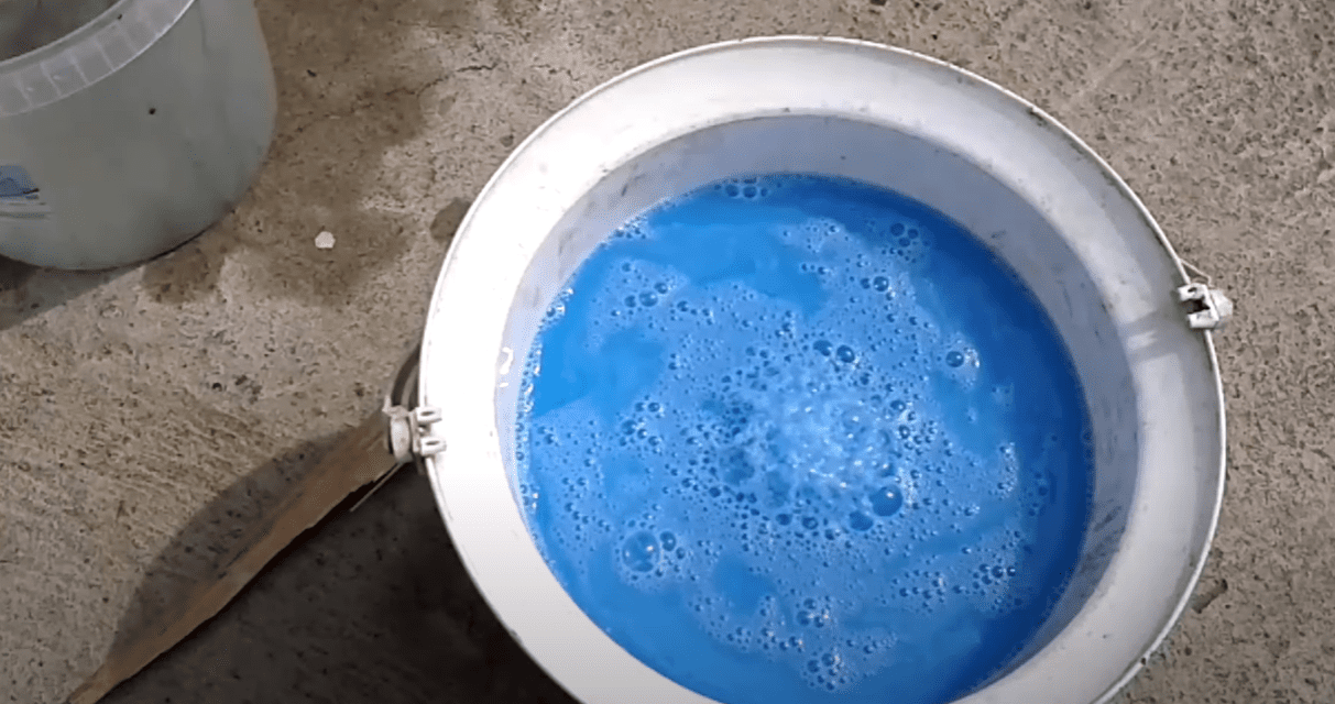 Городники із Закарпаття розповіли, як борються з фітофторою на томатах