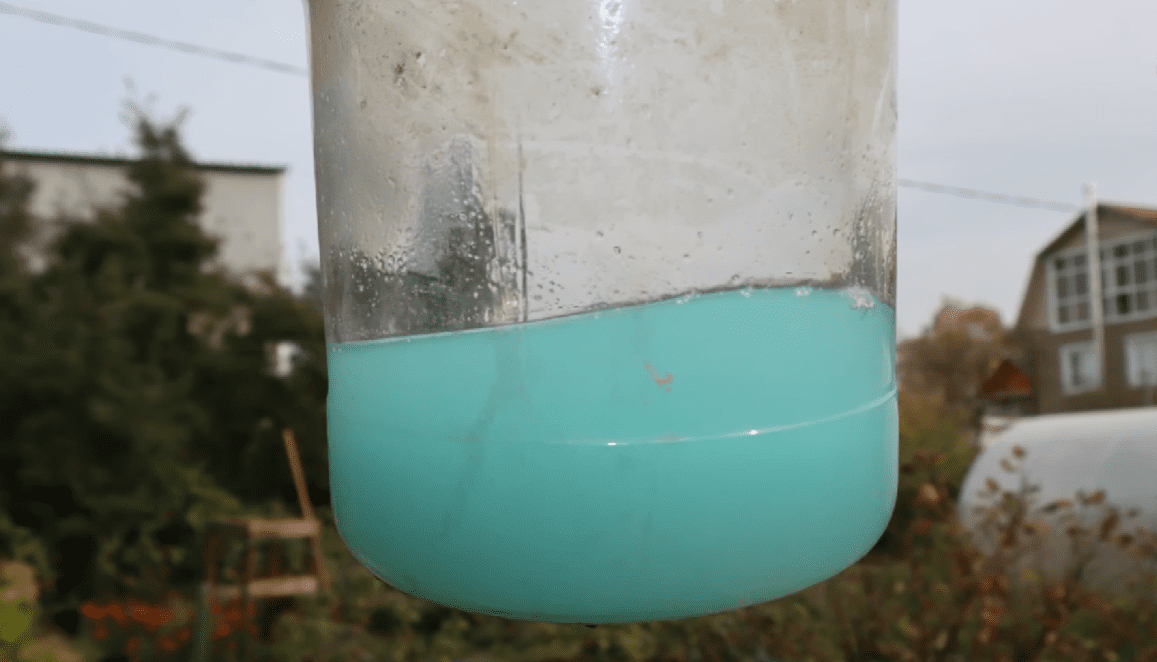 Городниця розповіла, що треба зробити з часником перед посадкою