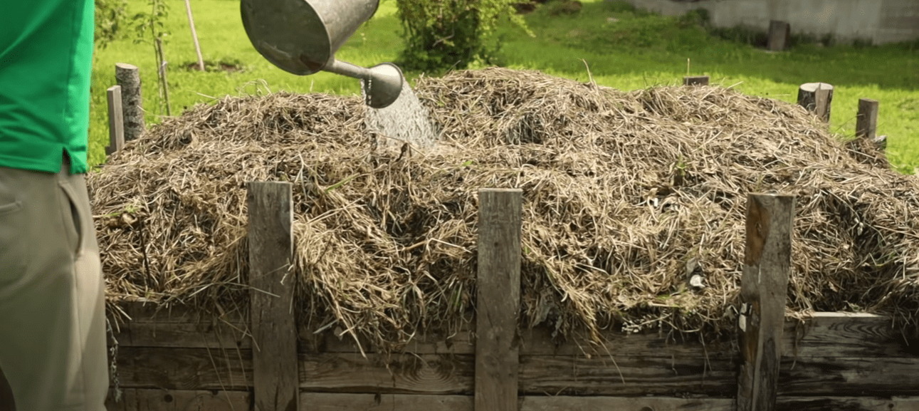 Городники розповіли, що зробити із гнилими яблуками в саду
