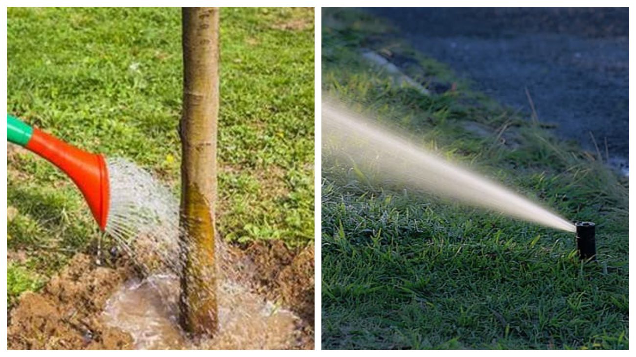 Садівники розповіли про важливість підзимового поливу саду