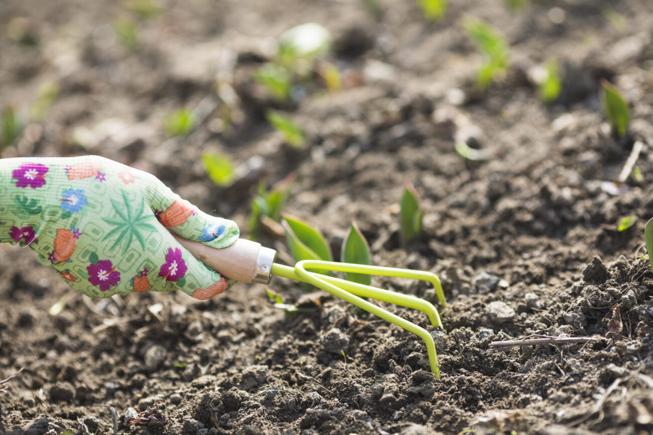 Городники розповіли, чим можна посипати грядки у жовтні замість гною