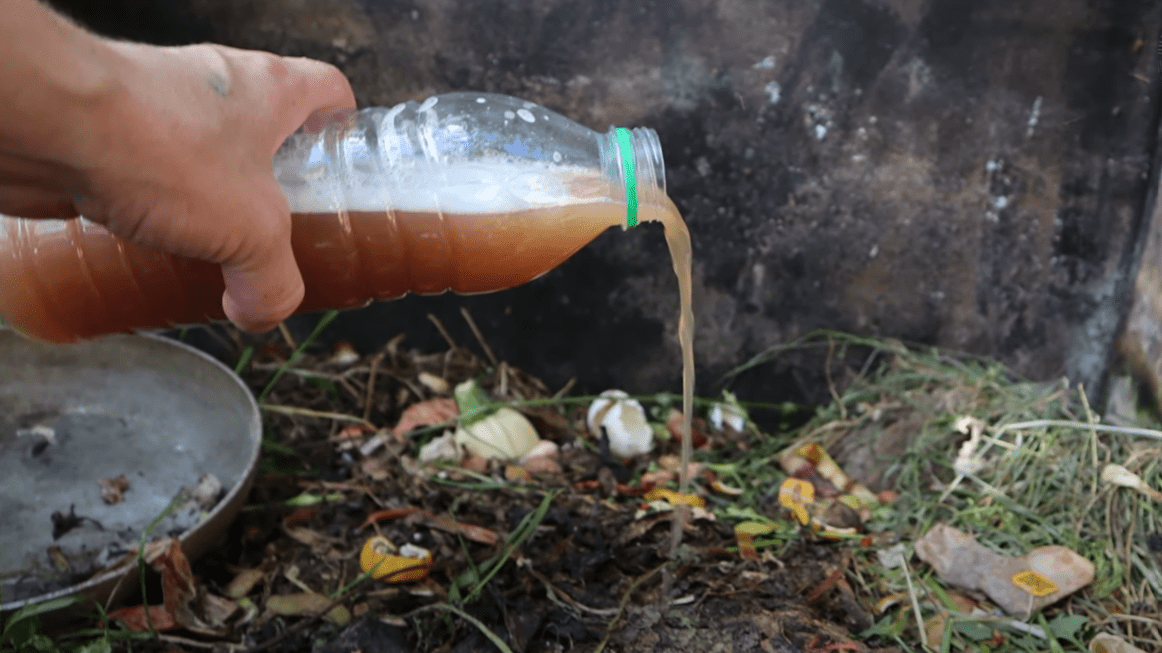 Городники розповіли про засіб, який прискорить дозрівання компосту