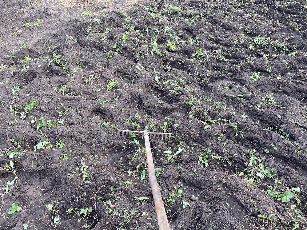 Городники розповіли, як важкий ґрунт перетворити на чорнозем