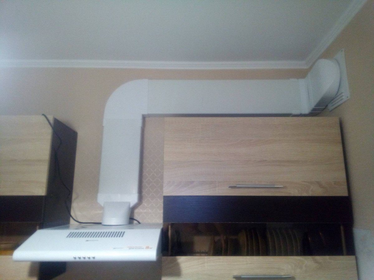 Експерти розповіли, яка є альтернатива для витяжки на кухні – проста та корисна порада