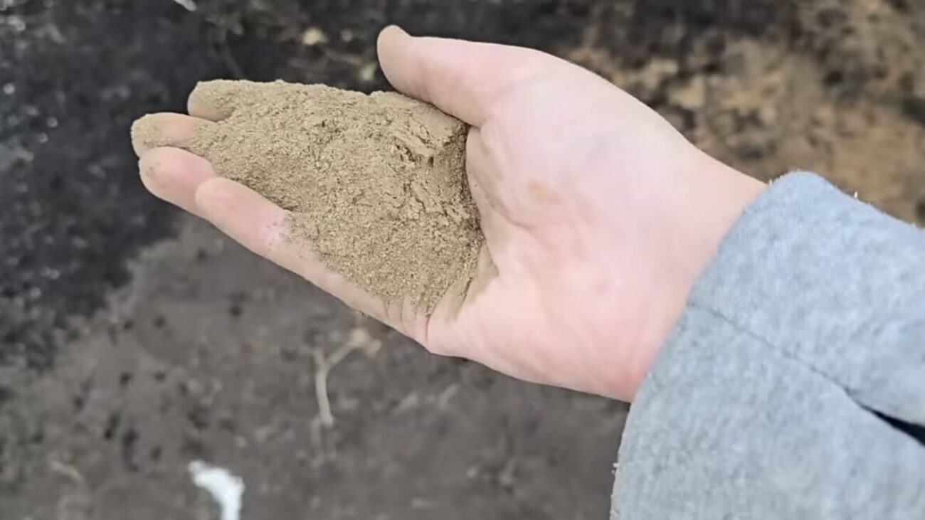 Городники розповіли, як восени обробити ґрунт від грибка і шкідників 