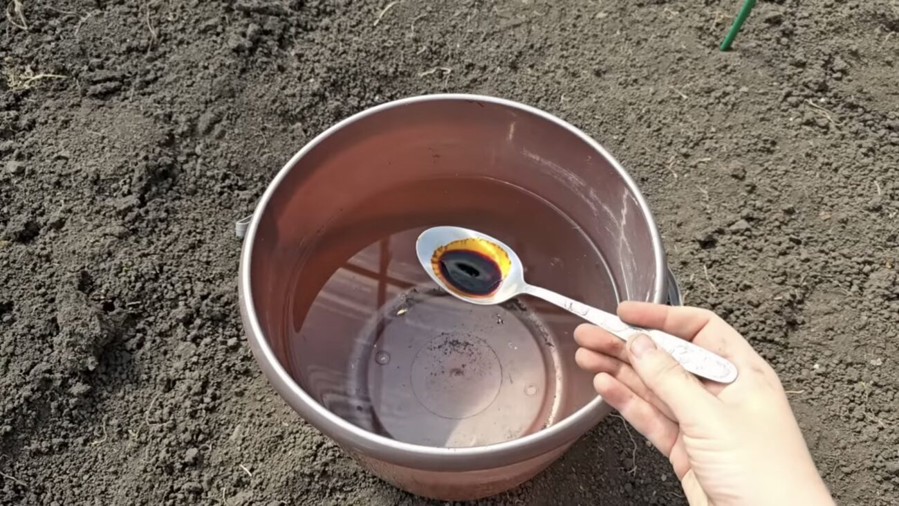 Городники розповіли, як восени обробити ґрунт від грибка і шкідників 