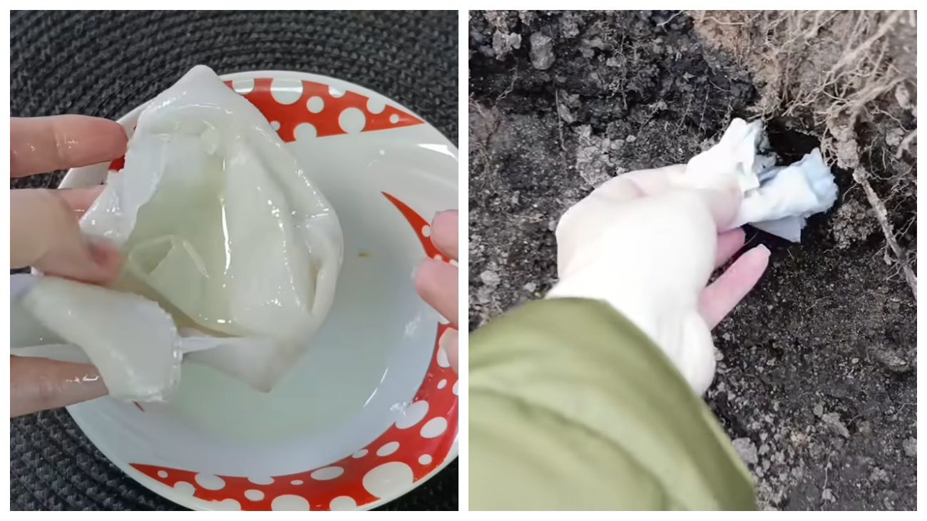 Городники розповіли, як позбутися від кротів за допомогою рицинової олії