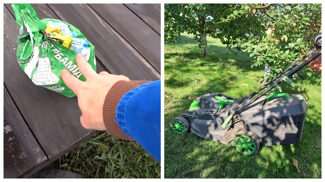 Садівники порадили, як легко покращити садовий ґрунт