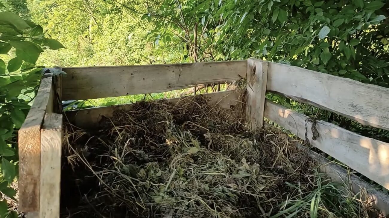 Городники розповіли, чим полили компост для кращого дозрівання 
