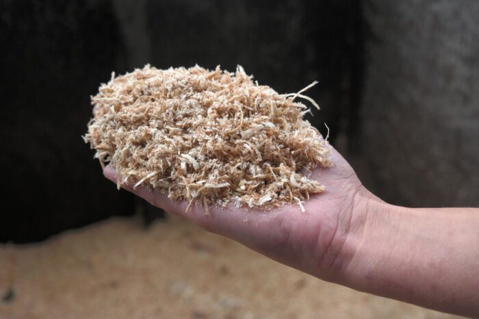 Городники розповіли, які види мульчі підходять не для всіх культур