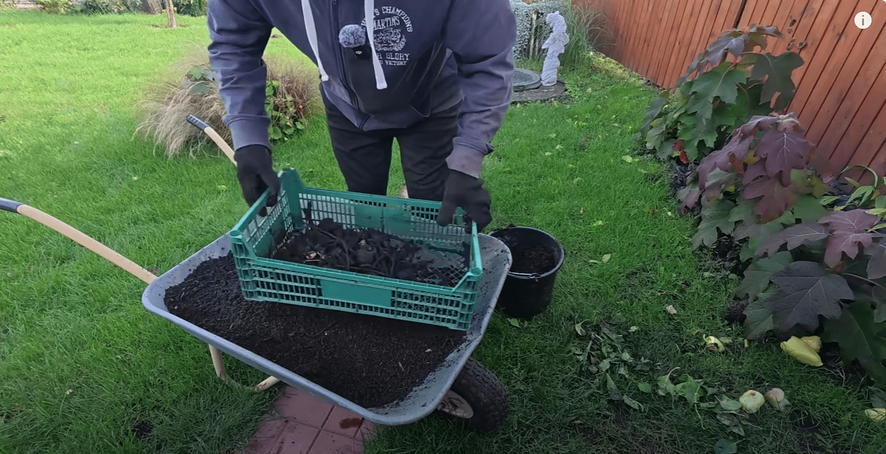 Як правильно розсипати компост, щоб отримати найбільшу користь для ґрунту