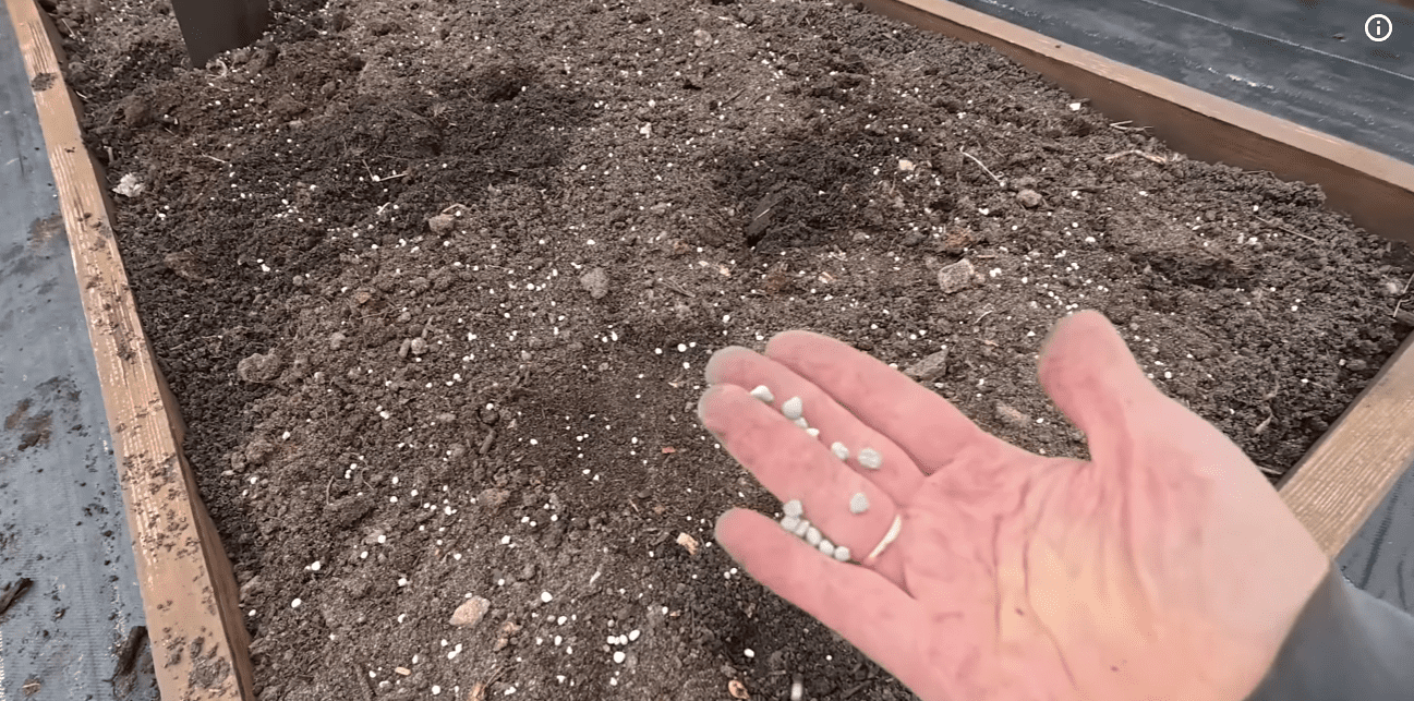 Городники розповіли, як правильно підготувати грядку для часнику