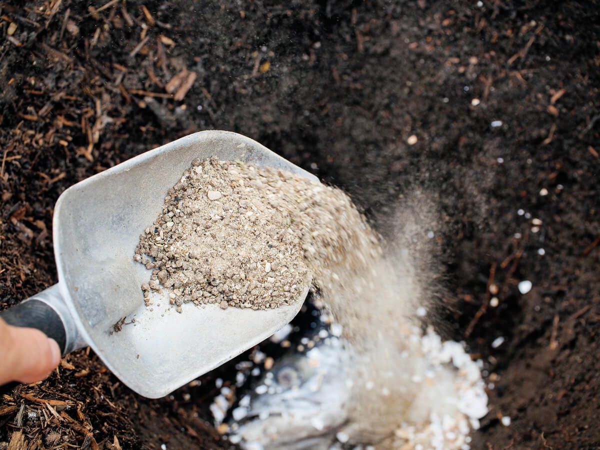 Експерти розповіли, як приготувати доступне добриво з високим вмістом кальцію для рослин