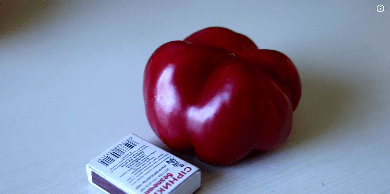 Городники назвали найкращі сорти солодкого перцю за останні 3 роки