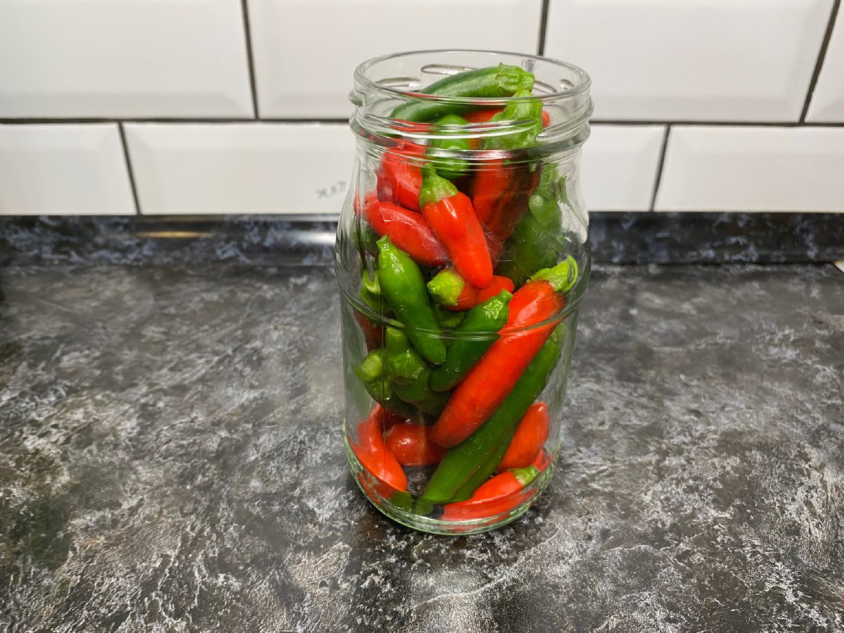 Городники розповіли, який сорт перцю дає найбільший урожай та займає мало місця на ділянці