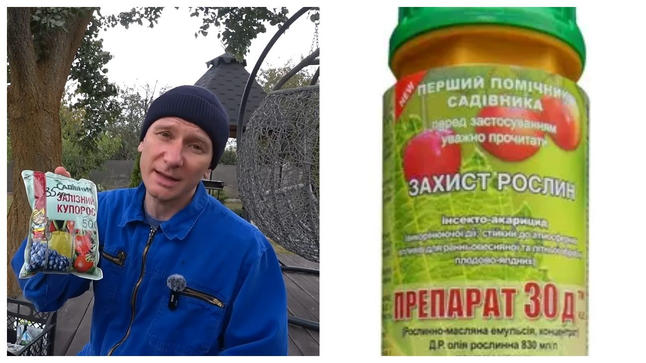 Садівники порадили заощадливу обробку саду від шкідників