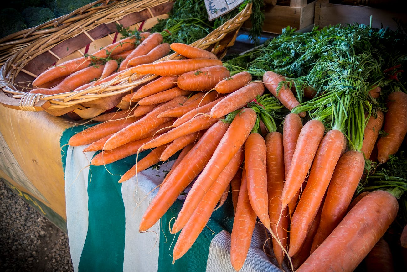 Як виростити гігантську моркву