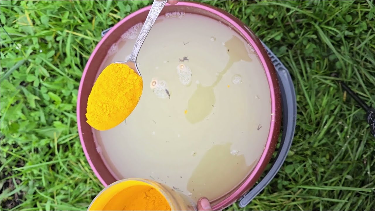 Городники розповіли, яка спеція допоможе очистити город від фітофтори 