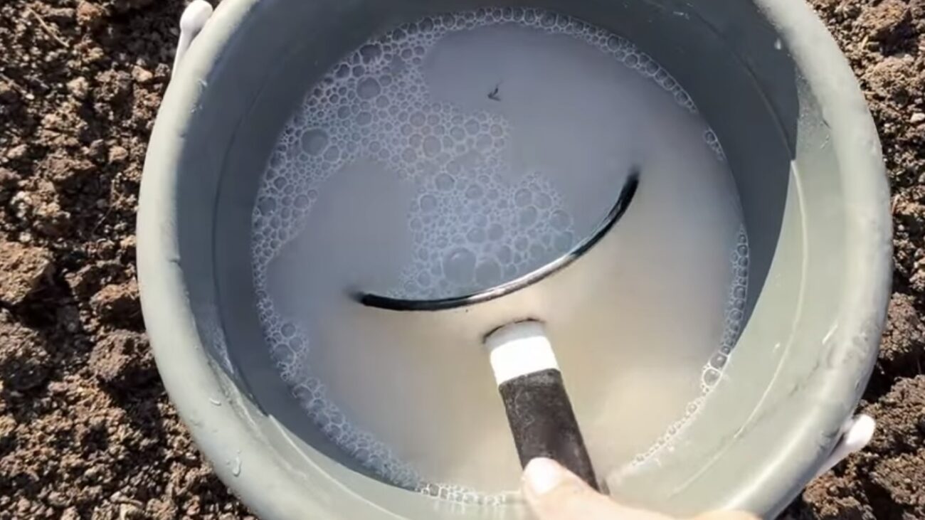 Городники розповіли, як покращити родючість ґрунту одним розчином  