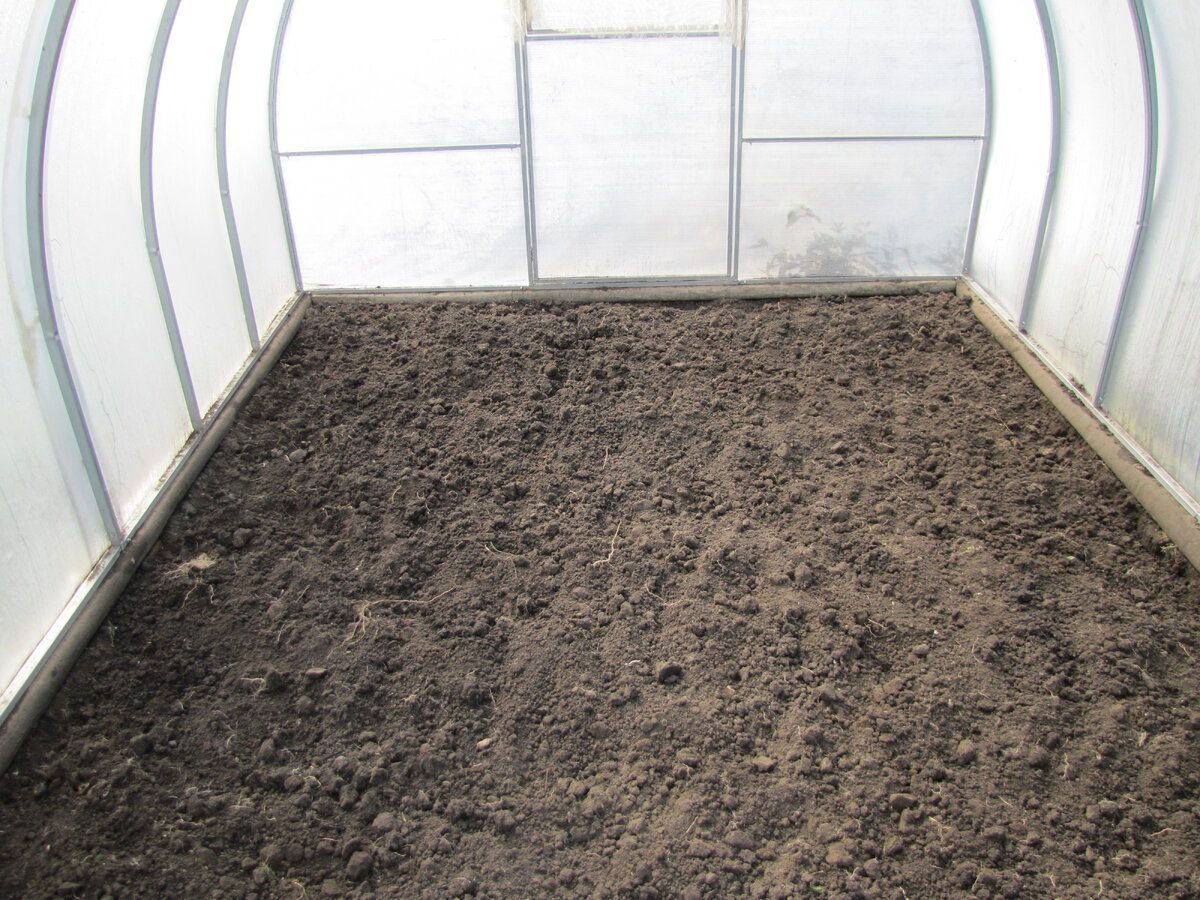 Експерти пояснили, який існує осінній спосіб покращити стан теплиці та ґрунту всередині неї
