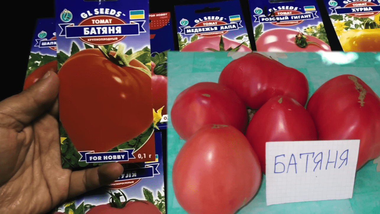 Городники назвали найкращі сорти помідорів для салатів та томатного соку