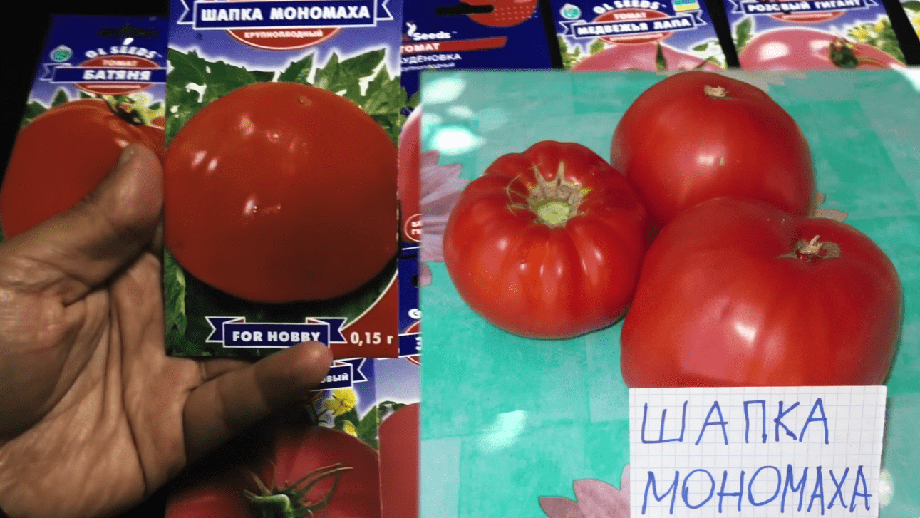 Городники назвали найкращі сорти помідорів для салатів та томатного соку