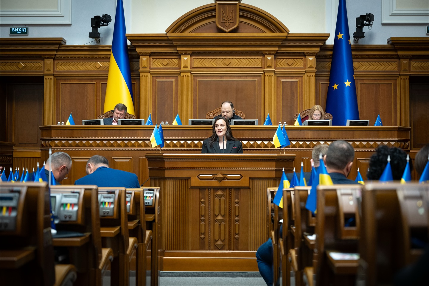 Більше жінок у владі: Міністром культури України призначено 36-річну Тетяну Бережну