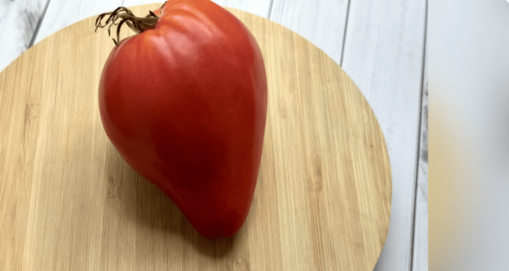 Городники обрали найсмачніші та врожайні томати зі 100 сортів